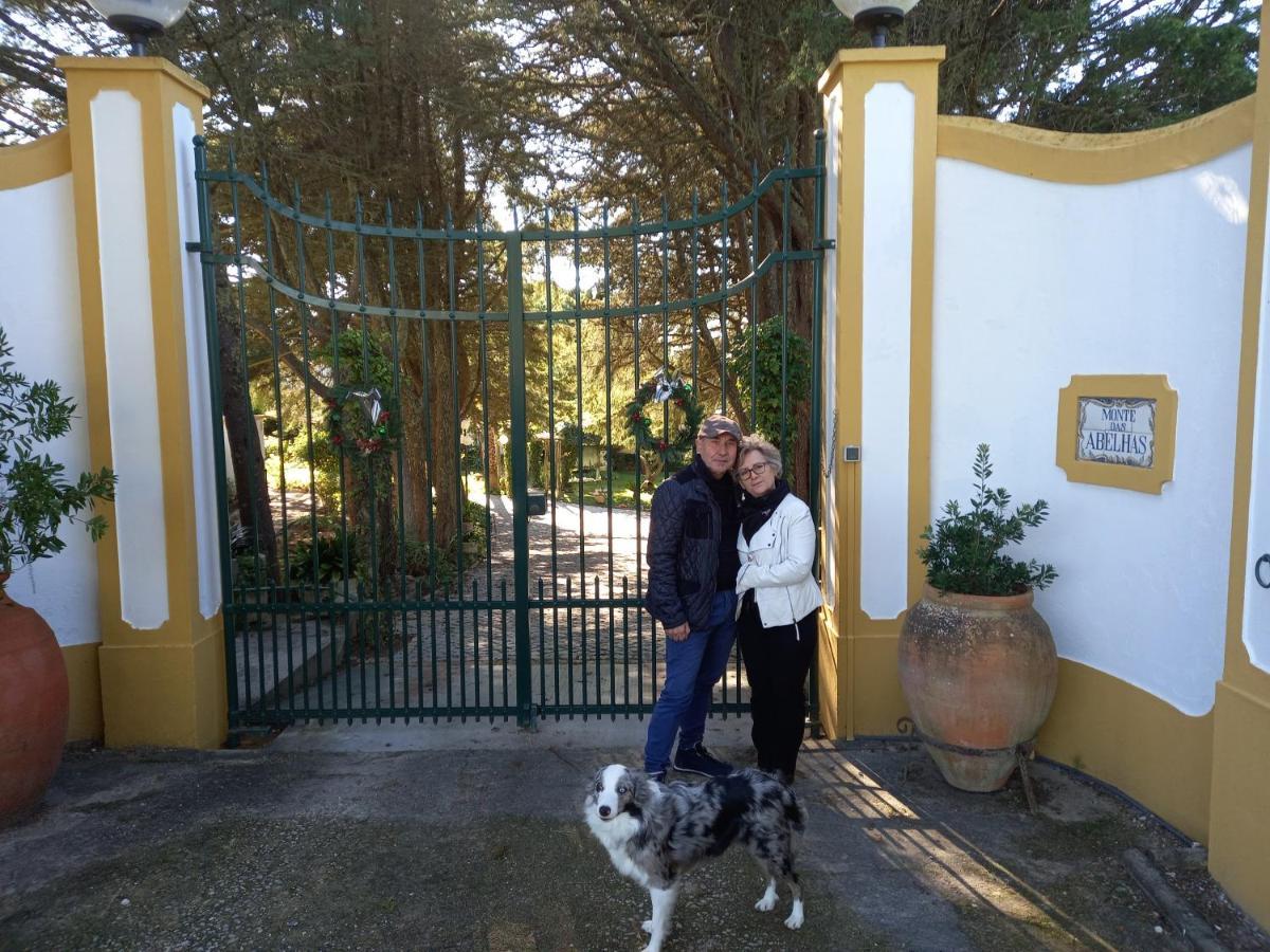 QUINTA DO MONTE DAS ABELHAS - La Vénus de Lisbonne Calhandriz Exterior foto
